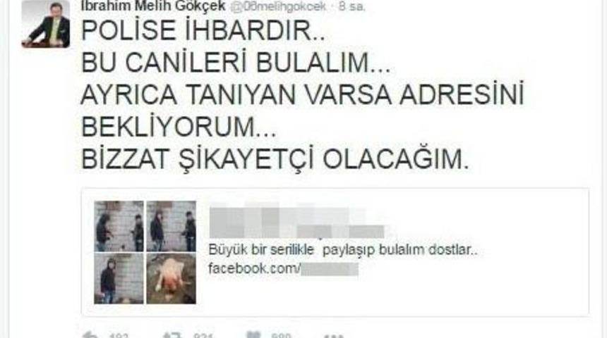 K&ouml;peğe İşkence Paylaşımına Tepki Yağdı