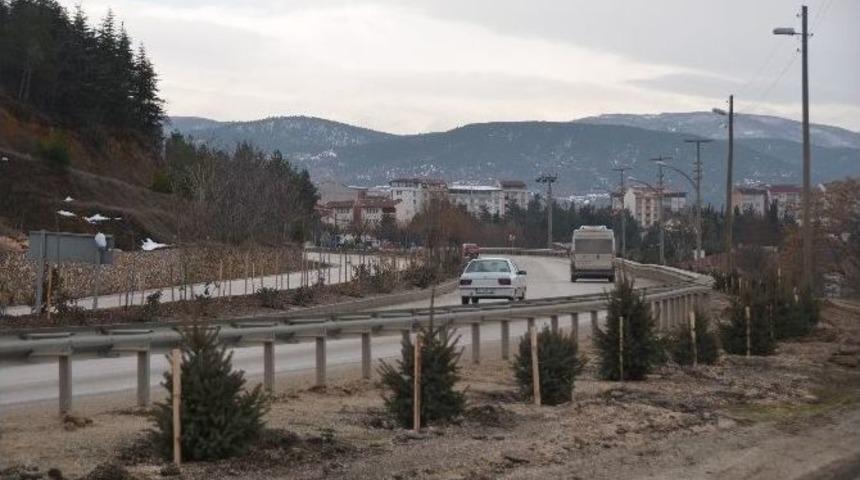 Y&uuml;zlerce Ağa&ccedil; Fidanı Toprakla Buluştu