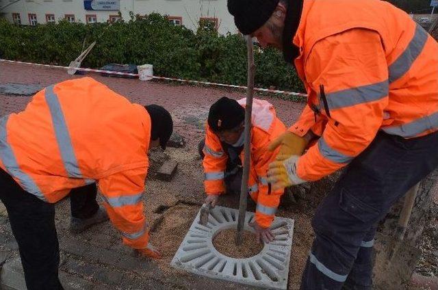 Y&uuml;zlerce Ağa&ccedil; Fidanı Toprakla Buluştu 1