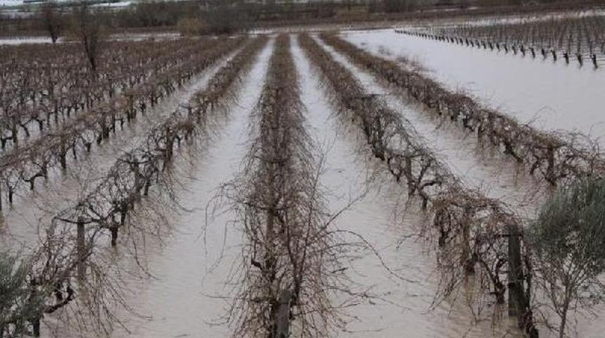 Kum&ccedil;ay Taştı, Bağlar Sular Altında Kaldı
