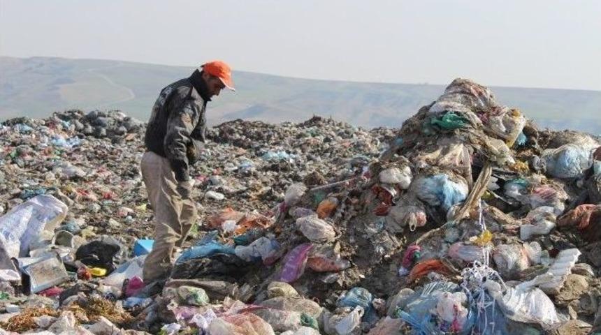 Ekmeğini &Ccedil;&ouml;pten &Ccedil;ıkarıyor