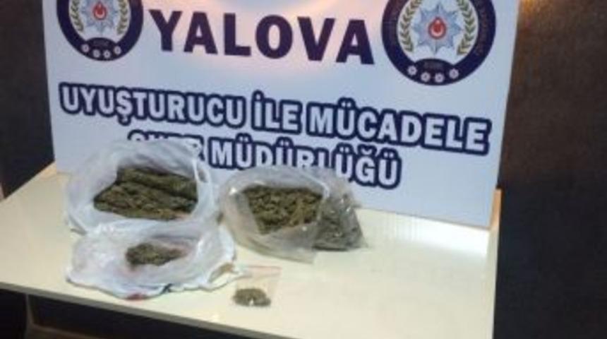 Yalova Emniyetinden Uyuşturucu Operasyonu