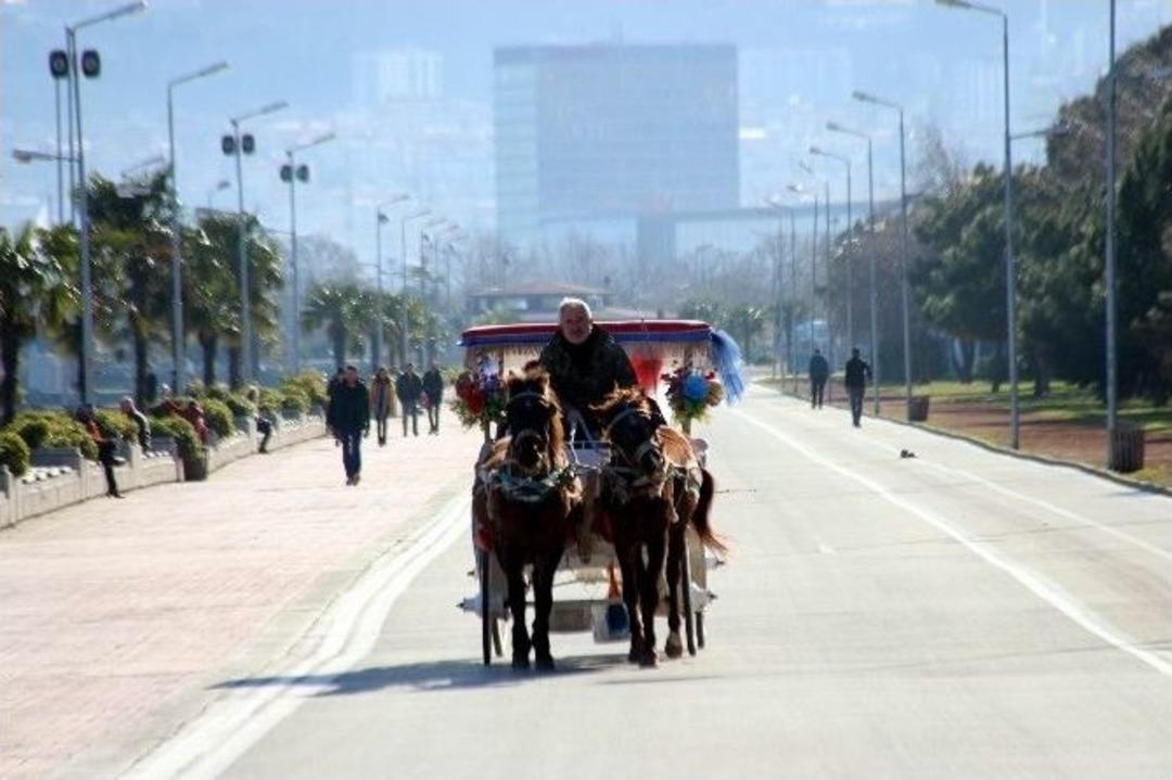 Samsun&rsquo;da Yalancı Bahar
