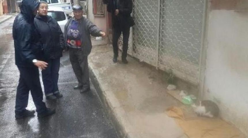 Sokakta Kedi Besleme Kavgası (2)