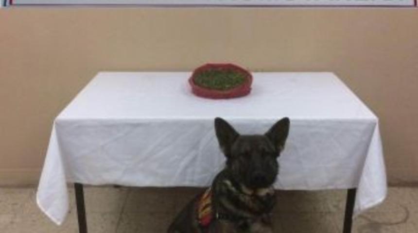 Yolcu Otob&uuml;s&uuml;nde Esrar Ele Ge&ccedil;irildi