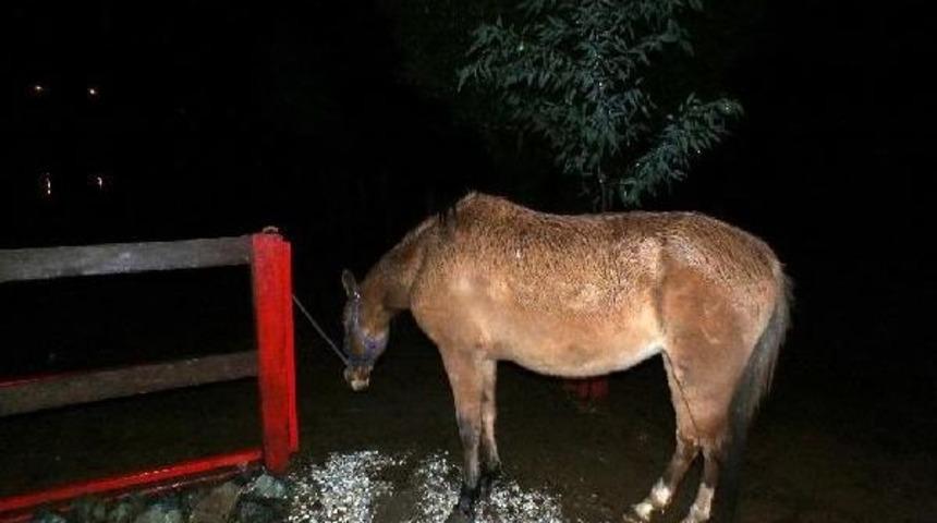 Heyelan Karayolunu Kapattı (2)