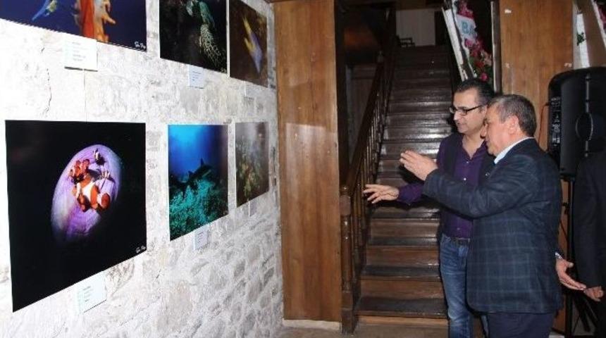 Kuşadası&rsquo;nda Su Altı Fotoğrafları Sergisi A&ccedil;ıldı