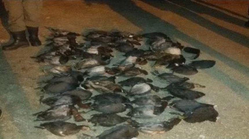 Bursa&rsquo;da Ka&ccedil;ak Avcılara 32 Bin Lira Ceza