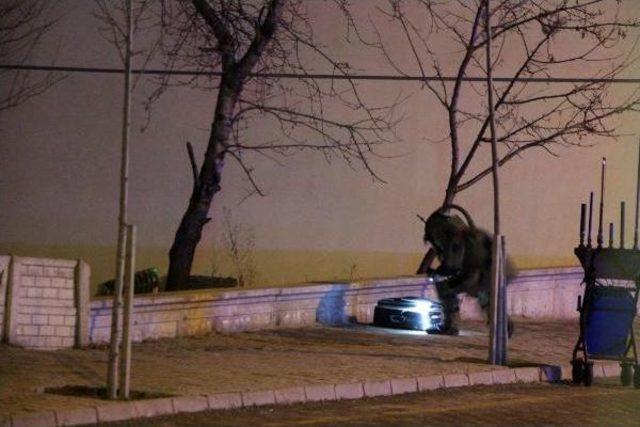 Kaldırımdaki Ş&uuml;pheli Bavuldan &Ccedil;&ouml;p &Ccedil;ıktı 2