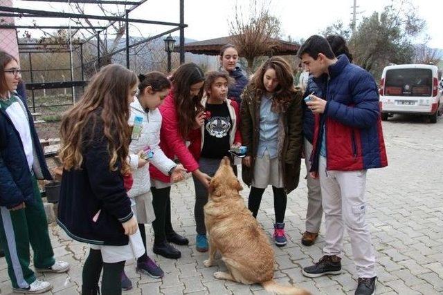 Öğrencilerden Hayvan Barınağına Ziyaret