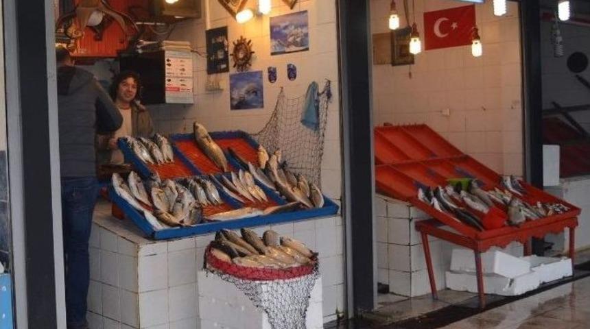 Karadeniz&rsquo;de Bug&uuml;nlerde Balık Avı Azalınca Vatandaş K&uuml;lt&uuml;r Balığına Y&ouml;neldi