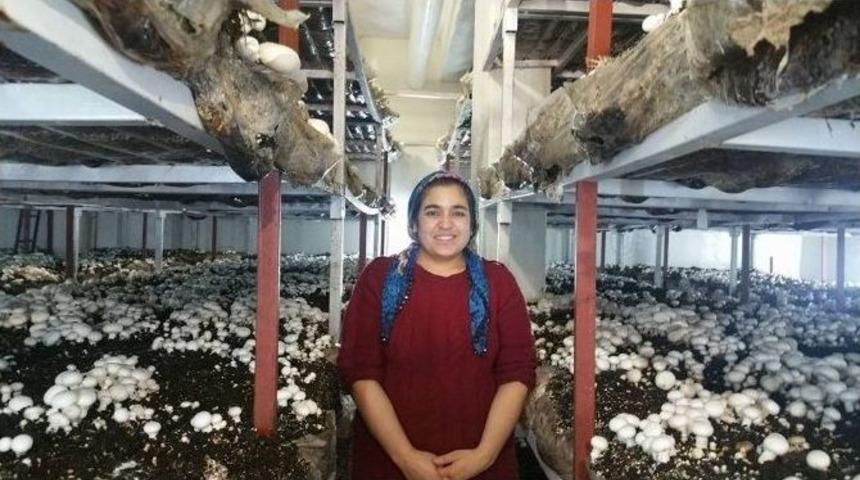 Kadıoğlu, K&uuml;lt&uuml;r Mantarı Tesisini Ziyaret Etti