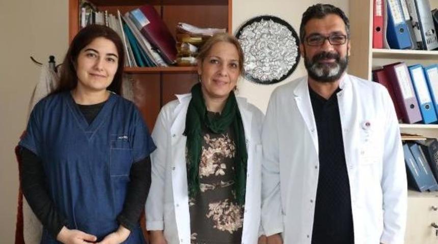 &Uuml;&ccedil; Do&ccedil;entten, 600 Milyon Euroluk Zararı &Ouml;nleyecek Proje