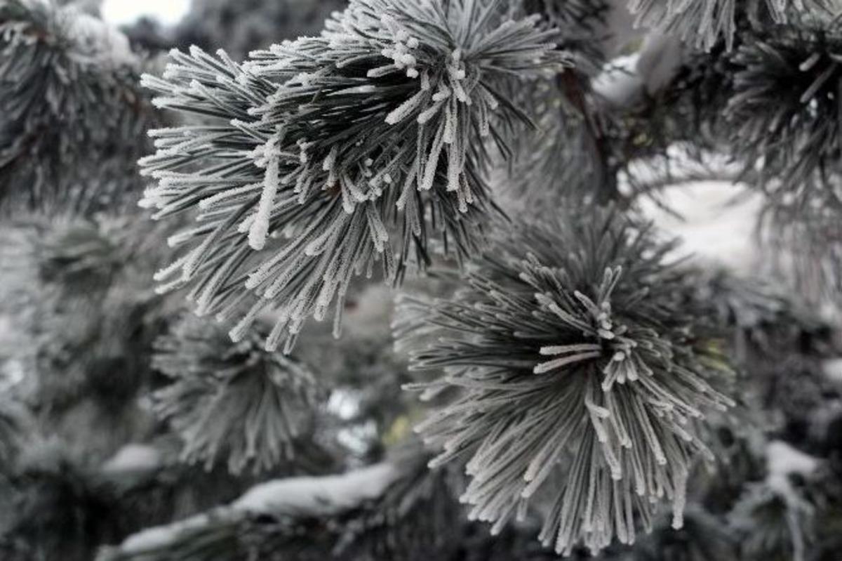 Ağrı&rsquo;da Kartpostallık Manzaralar