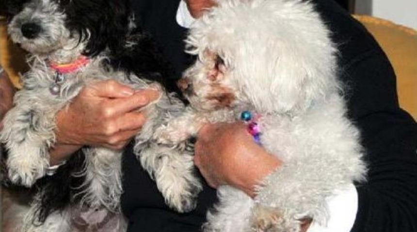 Fatma Girik'ten Iyi Haber