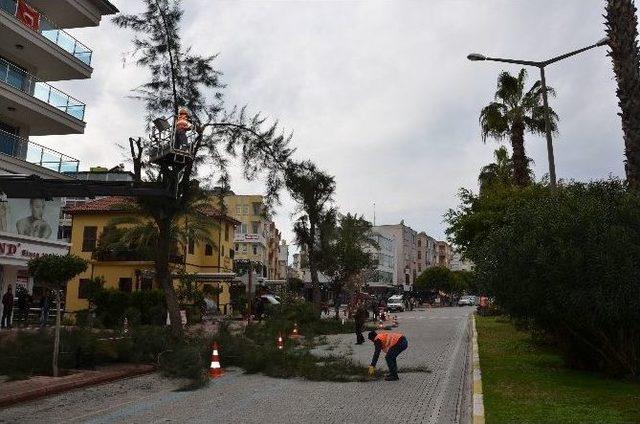 Alanya Bahara Hazırlanıyor