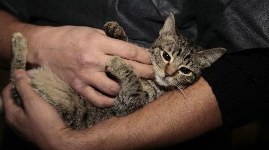 Odunpazarı&rsquo;ndan Evinde 17 Sokak Hayvanı Besleyen Vatandaşa Yardım Eli