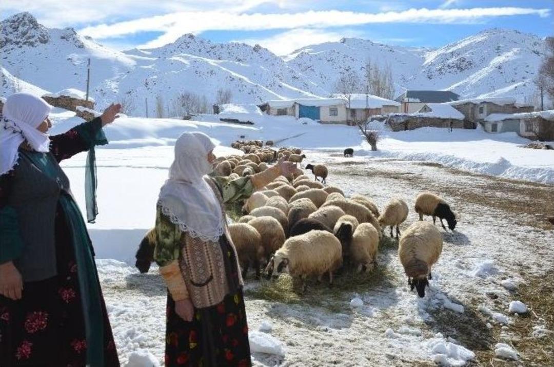 Y&uuml;ksekova&rsquo;da Aylardır Kapalı Olan K&ouml;y Yolu A&ccedil;ıldı