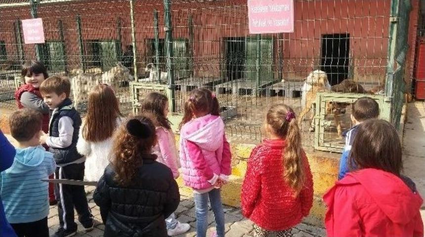 Can Dostlarına Şefkat