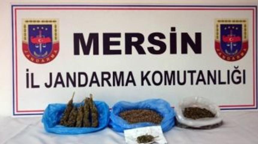 Tarsus&rsquo;ta Uyuşturucu Operasyonu