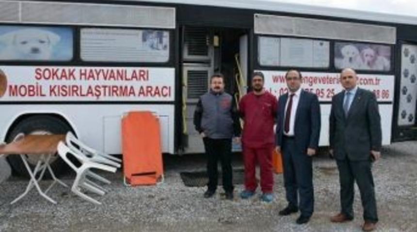 Sandıklı&rsquo;da Kuduz Vakasının Ardından Sokak Hayvanları Aşılanıyor