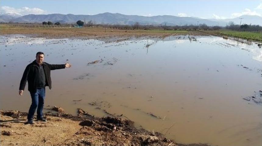 &Ouml;demiş&rsquo;te Yağmur Sonrası Tarlalarda Sel Mağduriyeti