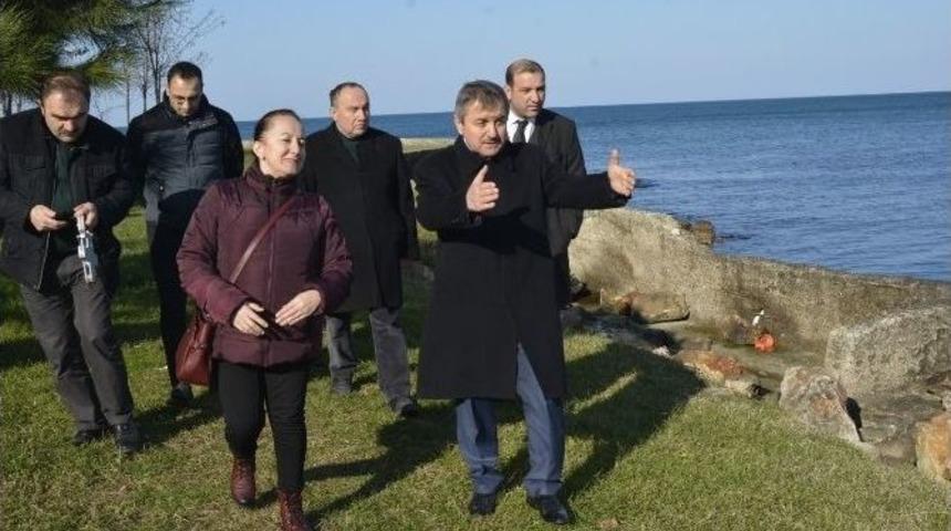 &Ccedil;amlıkta Tahkimat &Ccedil;alışması