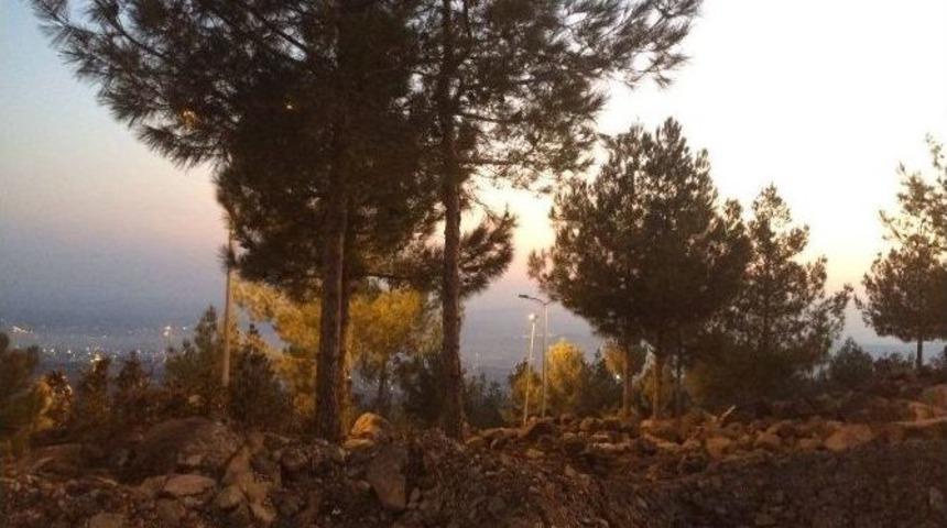 Recep Tayyip Erdoğan Mesire Alanı Işıklandırıldı