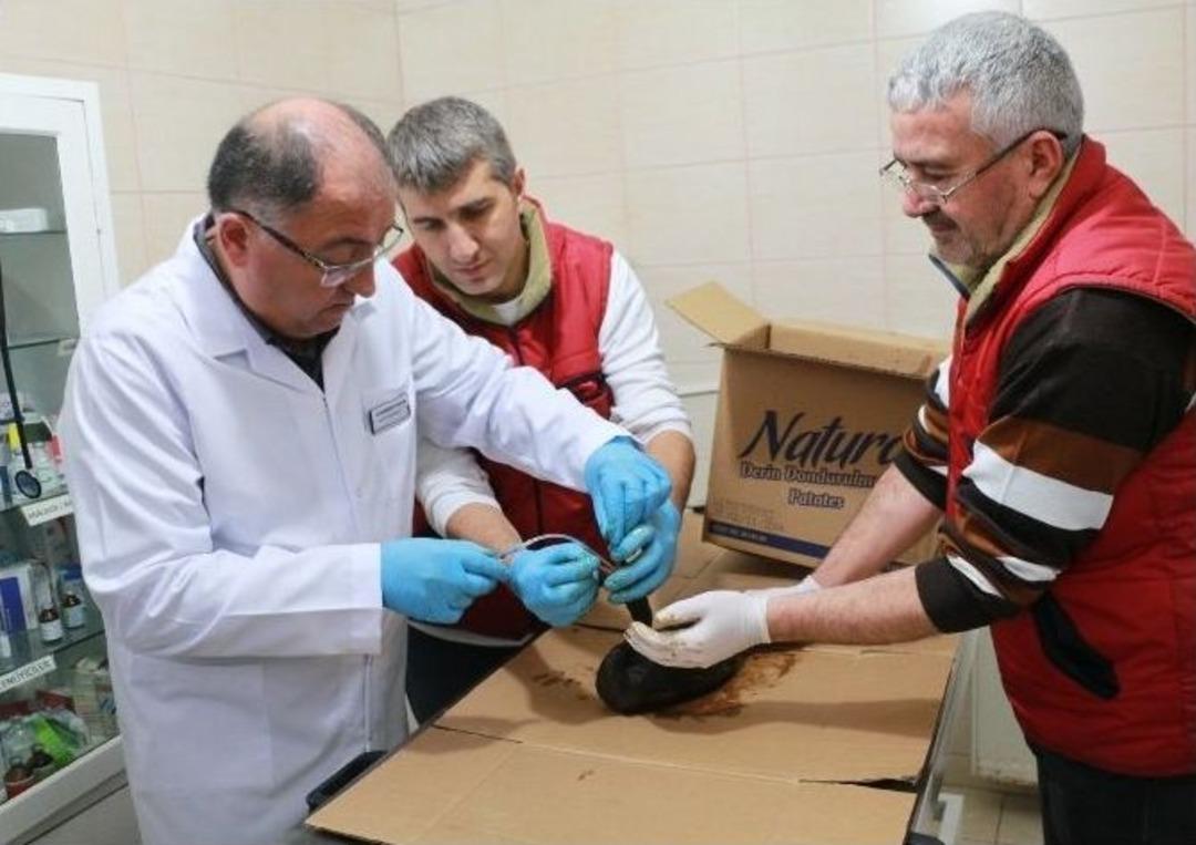 (&ouml;zel Haber) Dilovası&rsquo;ndan Dalgalarla Taşınan Petrol Hersek Lag&uuml;n&uuml;&rsquo;n&uuml; De Kirletti...