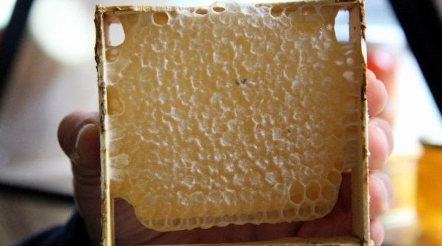 Arıcılar Bal Hedefine Ulaşamadı