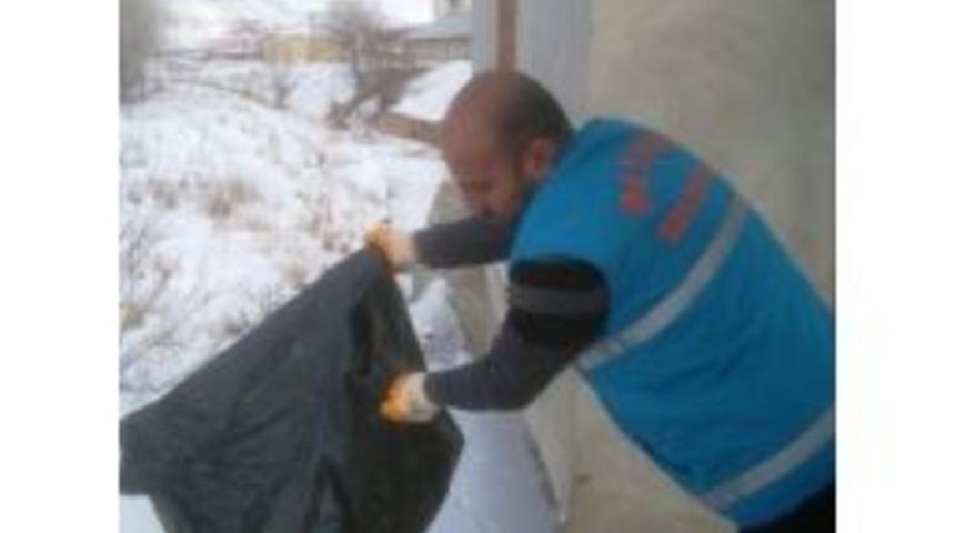 Yaban Hayvanları Unutulmadı