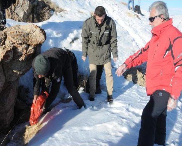 Hakkari Protokolü, 2 Bin 800 Metrede Dogaya Yem Bıraktı