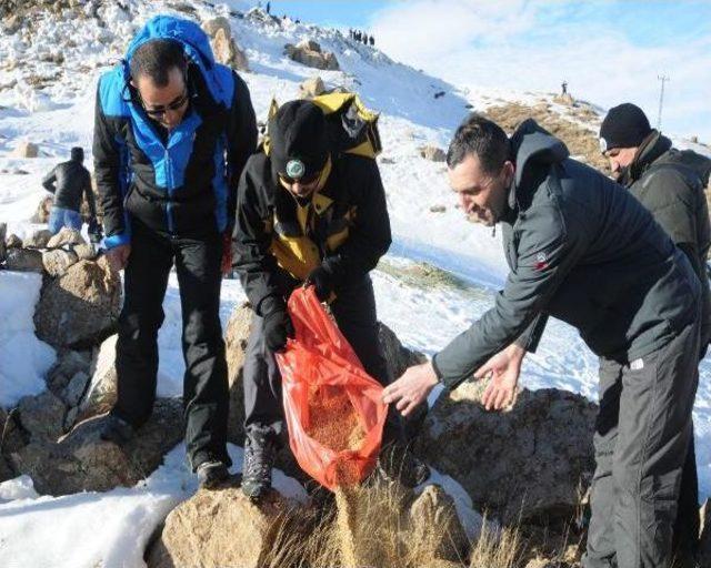 Hakkari Protokolü, 2 Bin 800 Metrede Dogaya Yem Bıraktı