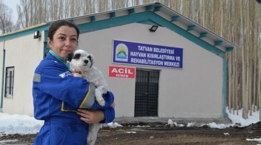 Tatvan&rsquo;da Hayvan Hastanesi Kuruldu