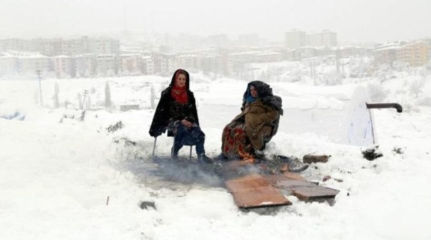 (&ouml;zel Haber) Ankara&rsquo;nın G&ouml;beğinde &Ccedil;adır Hayatı