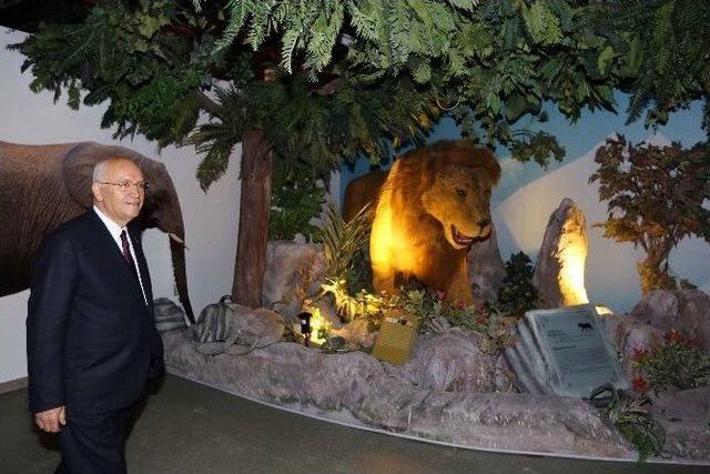 Evrensel Değerler M&uuml;zesi &Ccedil;ocuklar İ&ccedil;in G&uuml;n Sayıyor 2