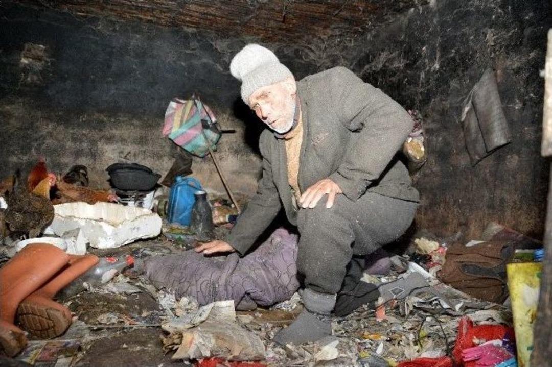 &Ccedil;&ouml;pl&uuml;ğe D&ouml;nen Damda Hayvanlarla Yaşayan Kardeşlere Belediye Sahip &Ccedil;ıktı