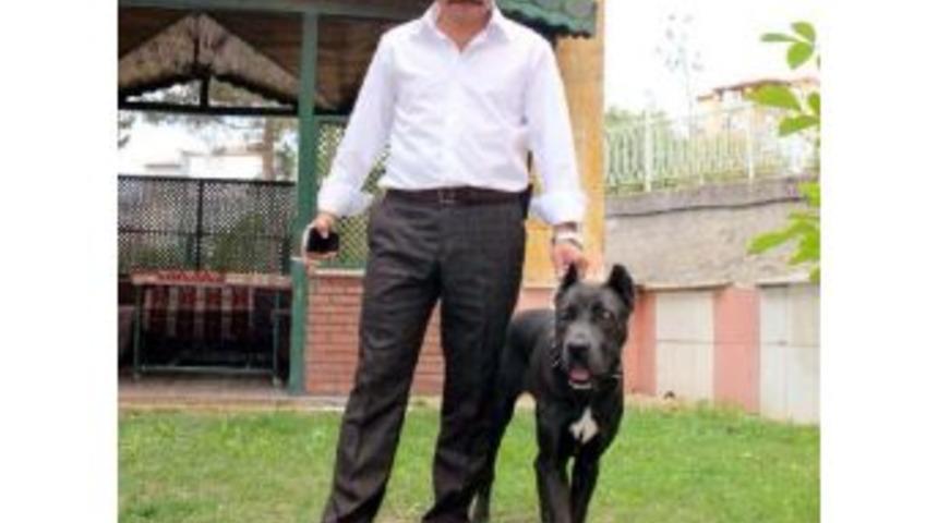 İhra&ccedil; Edilen Eski Emniyet M&uuml;d&uuml;r&uuml;ne Yakalama Kararı