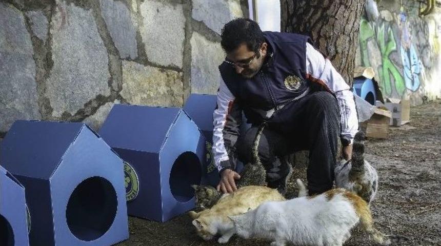 Buca Belediyesi&rsquo;nden 80 Yeni Kedi Evi
