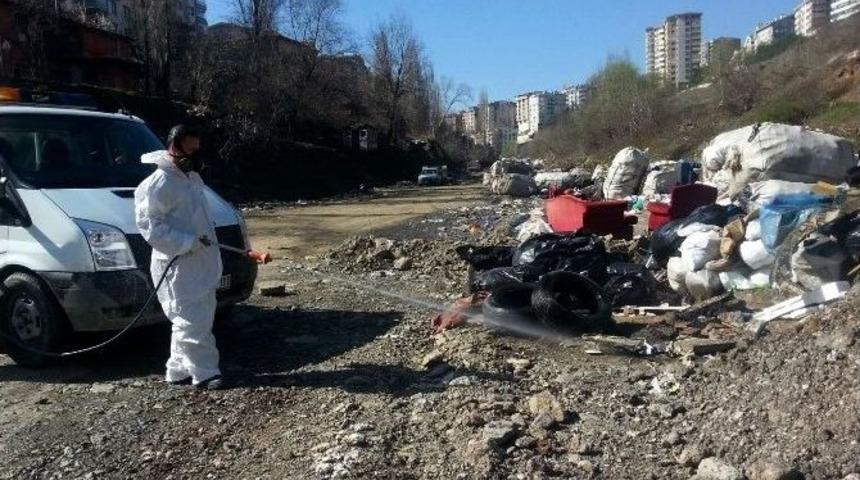 &Ccedil;ankaya&rsquo;da Haşereyle M&uuml;cadeleye Devam