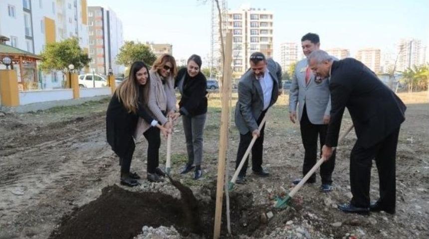 Mezitli&rsquo;de 26. Jakaranda Koruluğu A&ccedil;ıldı