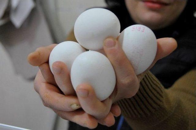 &ldquo;yumurtanın Ateşi D&uuml;ş&uuml;yor&rdquo; 1