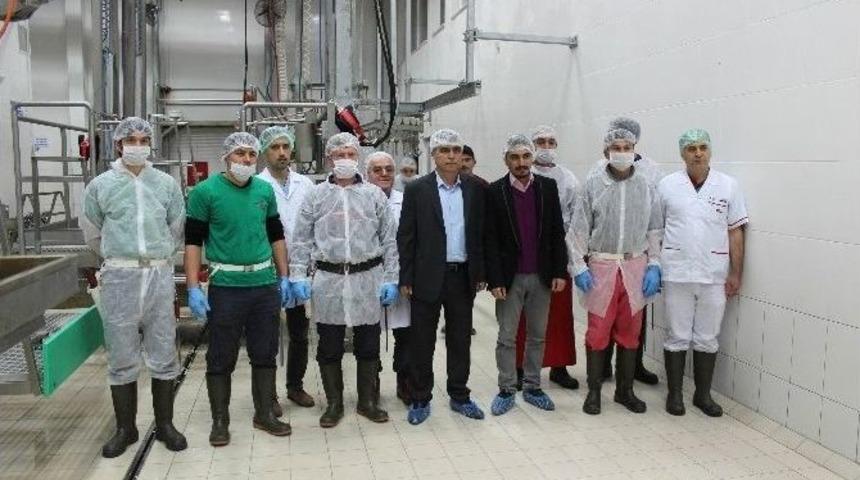 Ab Standartlarında Kurulan Mezbaha Basına Tanıtıldı