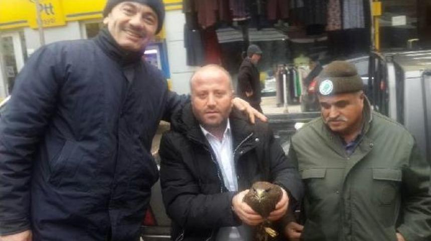 Yaralı Bulunan Doğana Tedavi