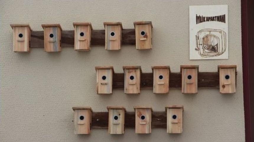 &Ccedil;ankırı&rsquo;da Kuşlar İ&ccedil;in İyilik Apartmanı