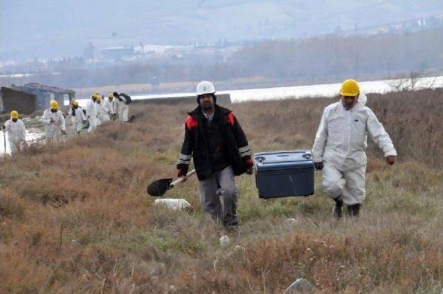 Veteriner Başkan, Yakıta Bulanan Kuşlara Müdahale Etti  (2)