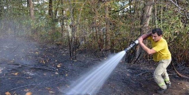 Alaplı İtfaiyesi 2016 Yılında 379 Olaya Müdahale Etti