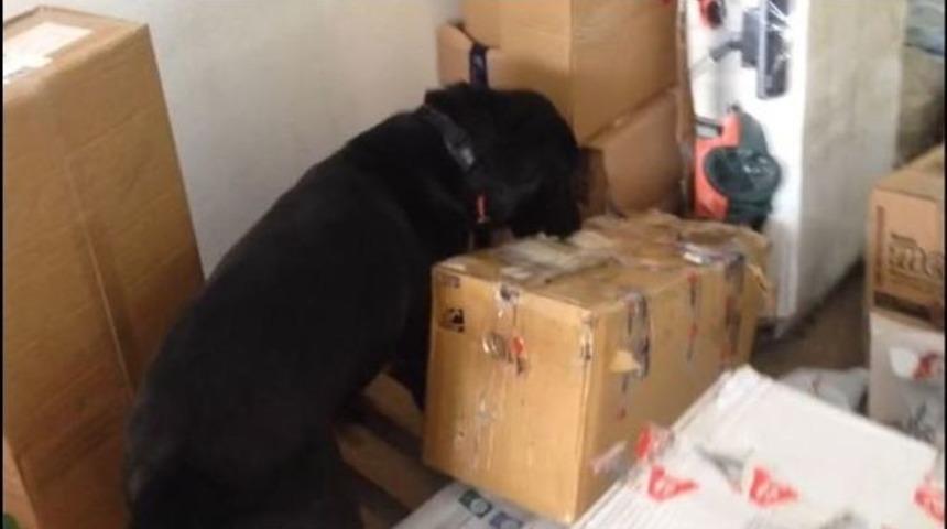 Marmaris&rsquo;te Uyuşturucu Madde Ele Ge&ccedil;irildi