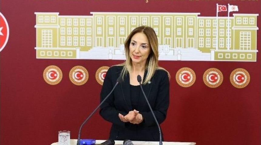 Bağımsız Ankara Milletvekili Aylin Nazlıaka: