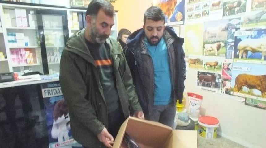 Yaralı Doğanı Malazgirtli Avcı Kurtardı